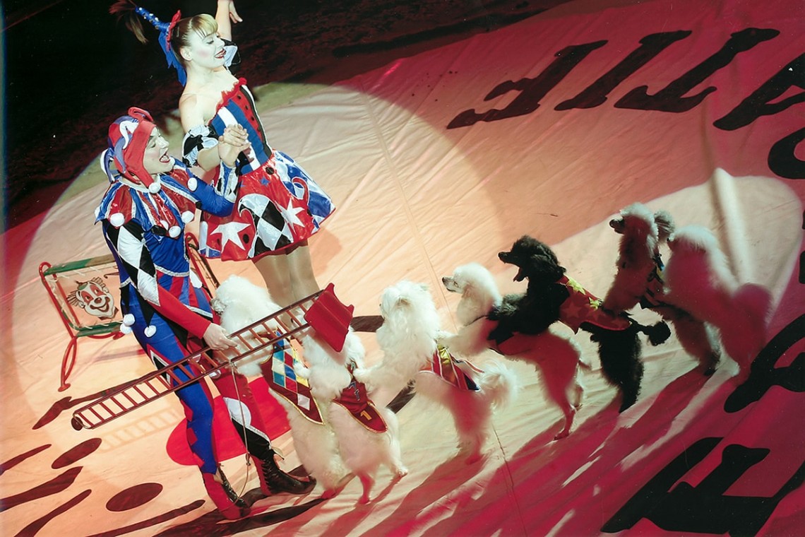 Travel circus in Florida. Circus performers for hire in Orlando